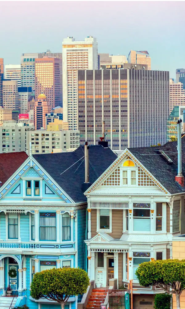 San Francisco City View